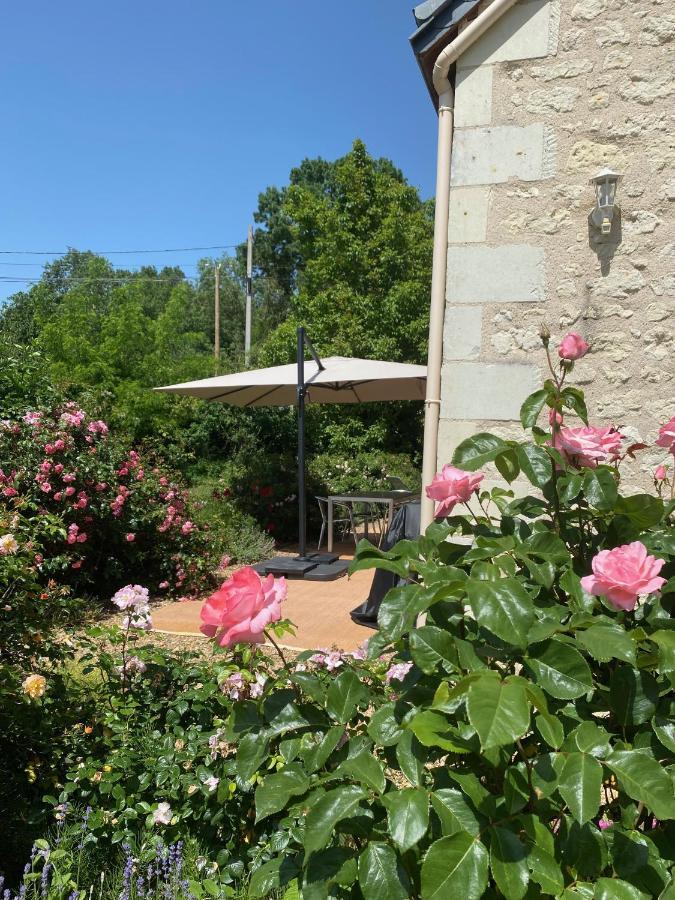 Gite De La Cale De La Clauderie Rigny-Ussé Exteriér fotografie