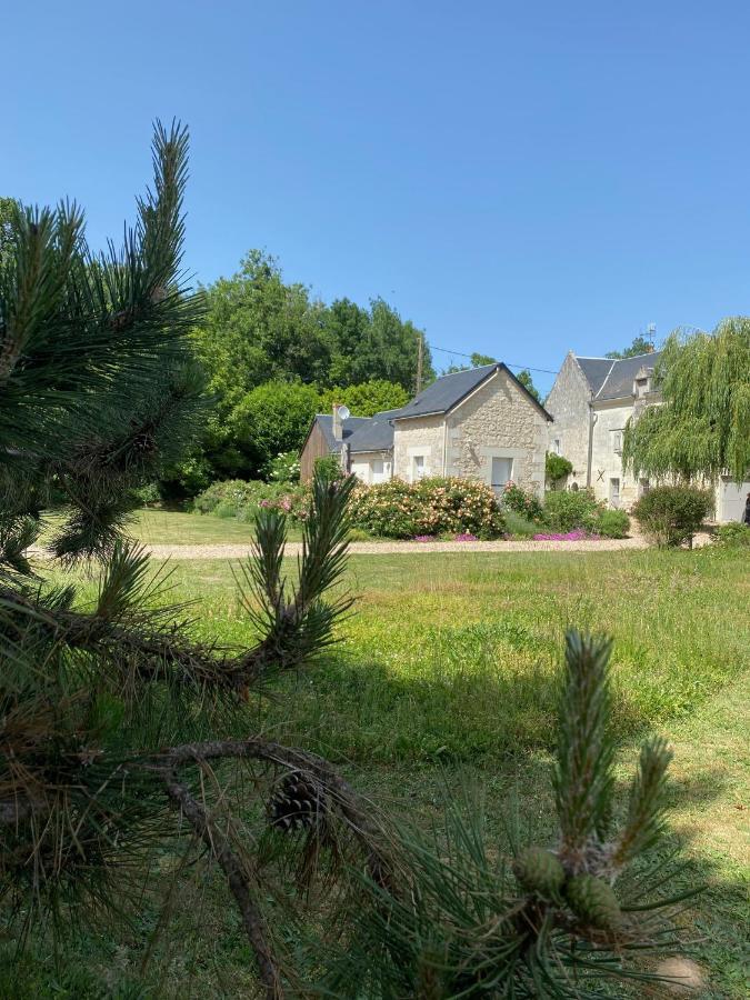 Gite De La Cale De La Clauderie Rigny-Ussé Exteriér fotografie